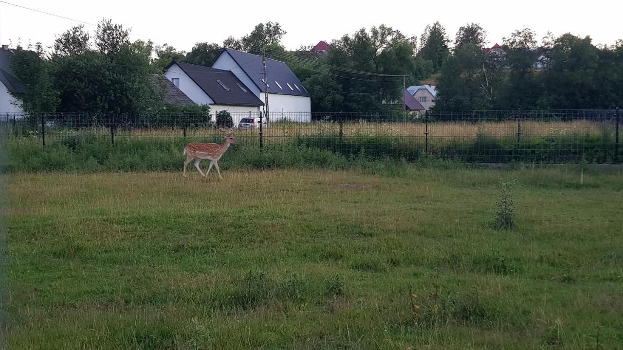 Apartmán Ranczo Pod Babia Gora Lipnica Wielka Exteriér fotografie